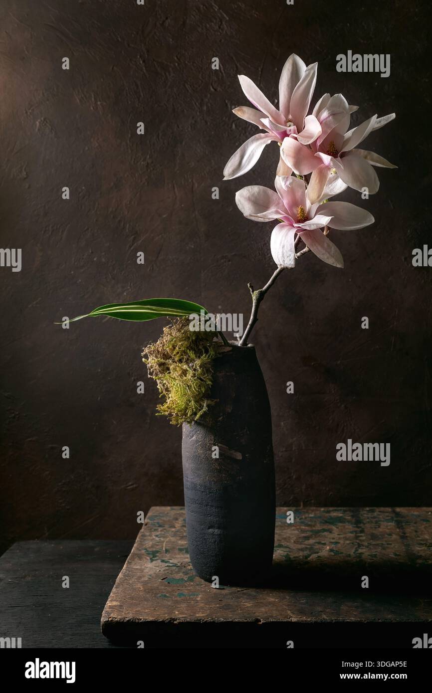 Belles fleurs de magnolia rose ikebana branche avec des feuilles vertes disposées dans un vase en céramique noire, avec de la mousse sur une table rustique en bois contre texture sombre Banque D'Images