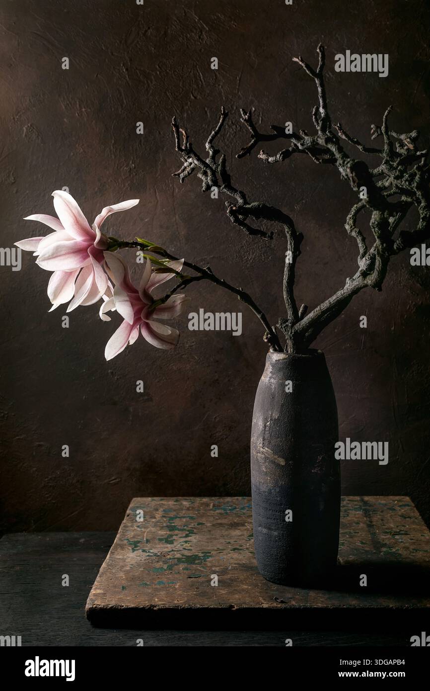Arrangement élégant fleurs de magnolia rose branches ikebana vase en céramique sombre sur mur brun texturé. Moody fine art Still Life composition Rusti Banque D'Images