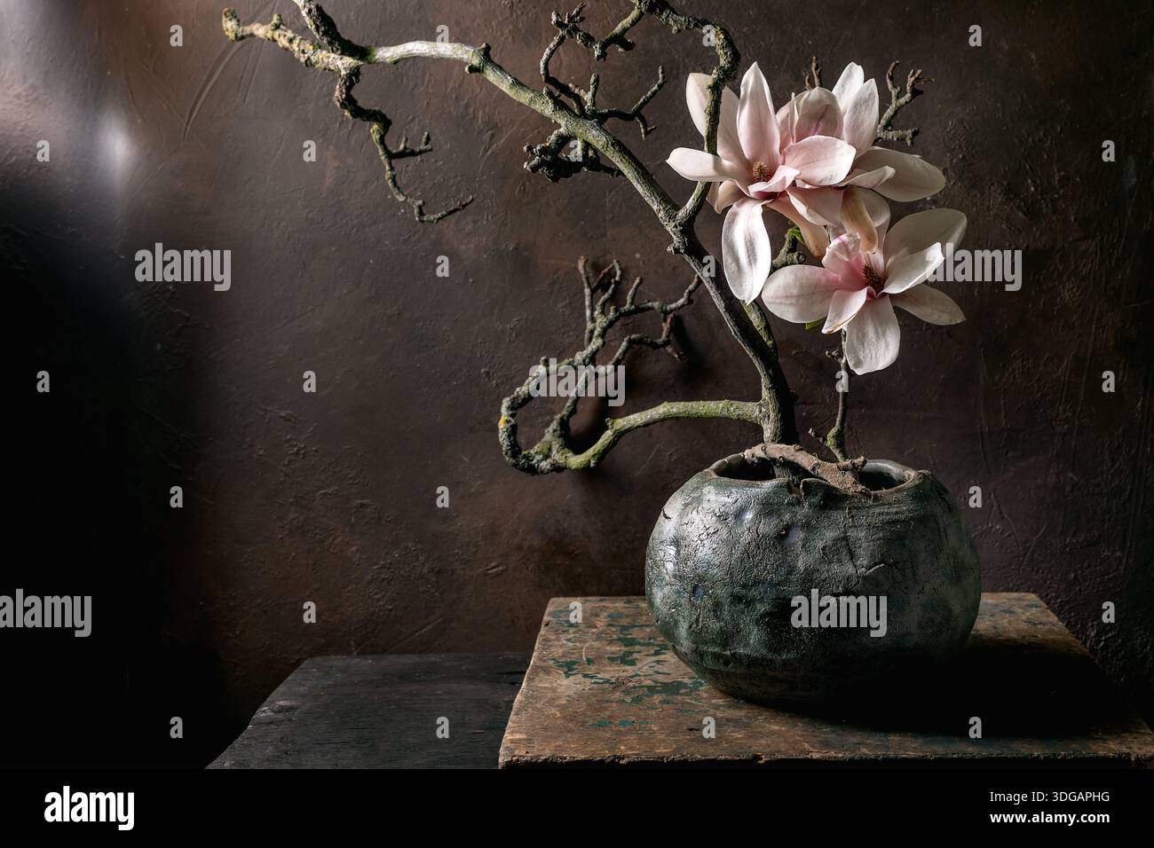 Délicates fleurs de magnolia rose ramifient ikebana dans un pot en céramique rustique sur fond texturé foncé. Composition Moody Still Life avec eleme naturel Banque D'Images