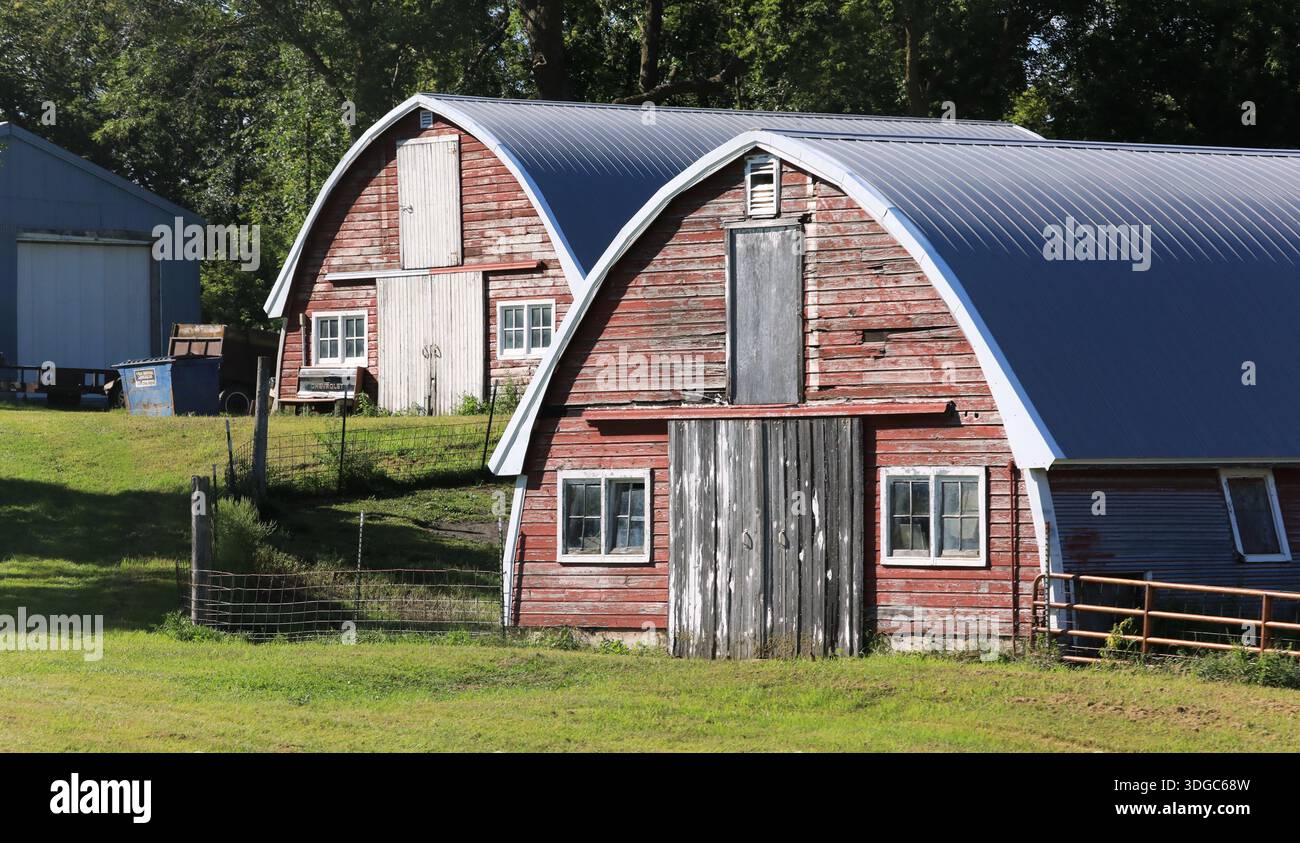 Deux petites granges sur une ferme du Minnesota central, rappelant les huttes militaires Quanset. Banque D'Images