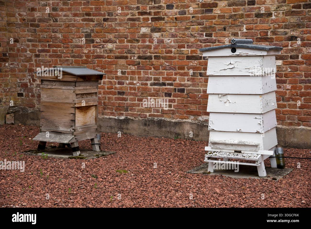 Ruches traditionnelles d'élevage d'abeilles Banque D'Images