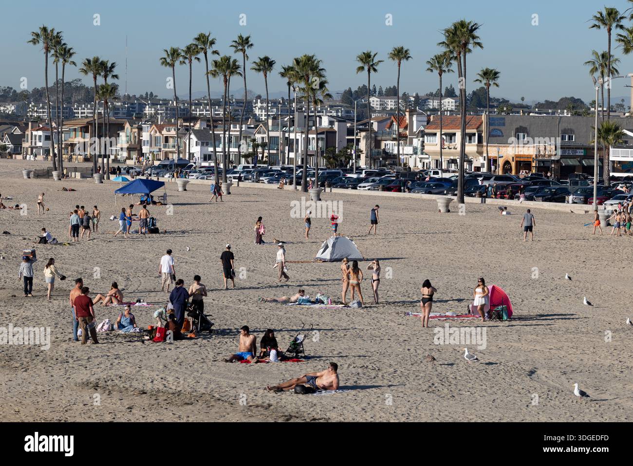 Les amateurs de plage se promènent et se détendent le long du rivage de Newport Beach, en Californie, avec le front de mer bordé de palmiers et des boutiques en arrière-plan. Banque D'Images