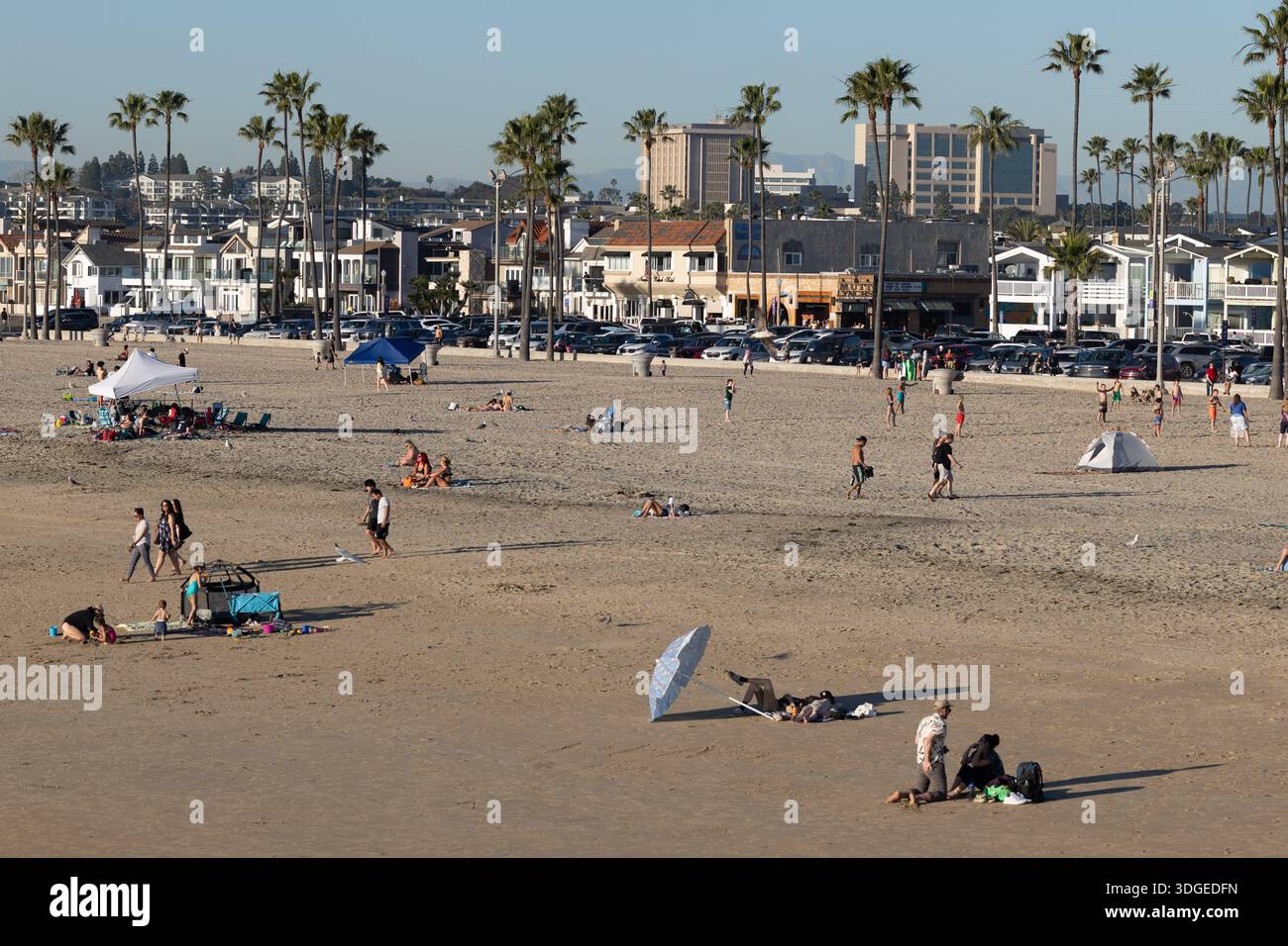 Les amateurs de plage se promènent et se détendent le long du rivage de Newport Beach, en Californie, avec le front de mer bordé de palmiers et des boutiques en arrière-plan. Banque D'Images