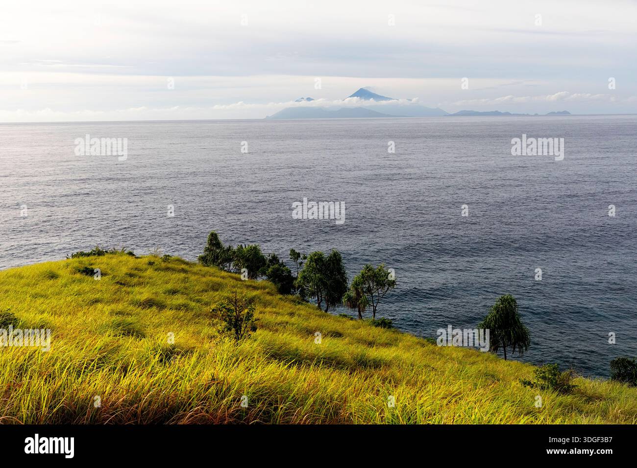 Spectaculaire île tropicale Tagulandang au nord de Sulawesi en Indonésie, colline herbeuse et île volcanique en arrière-plan Banque D'Images