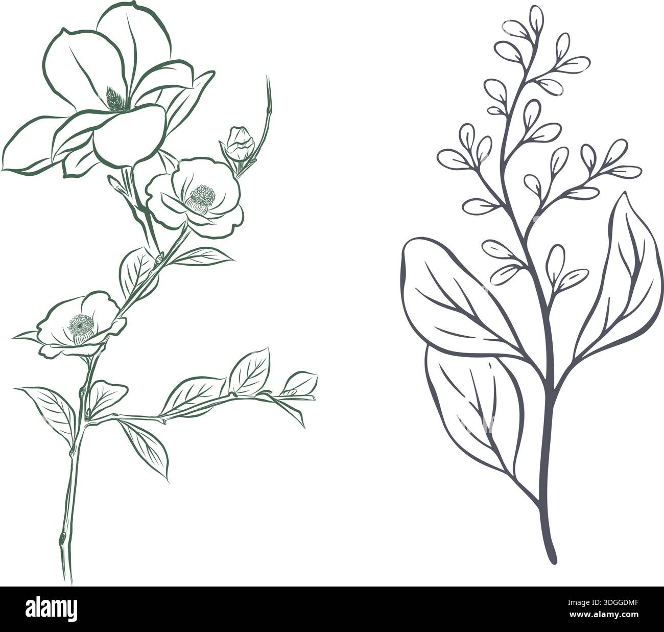 Page de coloriage Kawaii et pages de coloriage anime rose et tournesol et tulipes logo Illustration de Vecteur