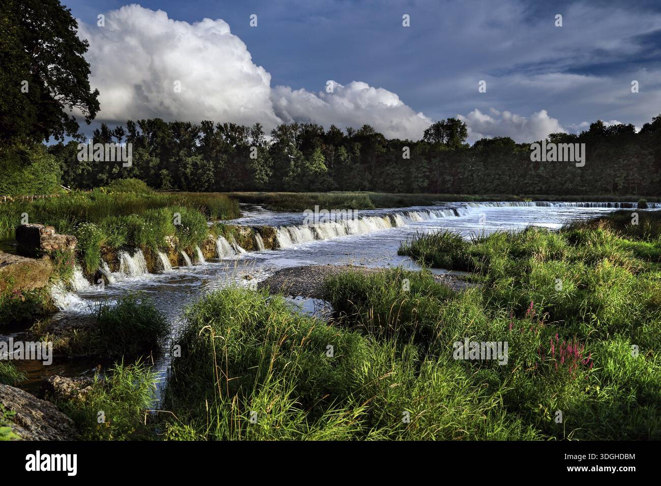La cascade de Ventas Rumba à Kuldiga avec de l'eau courante et un environnement verdoyant, Kuldiga, Courlande, Lettonie Banque D'Images