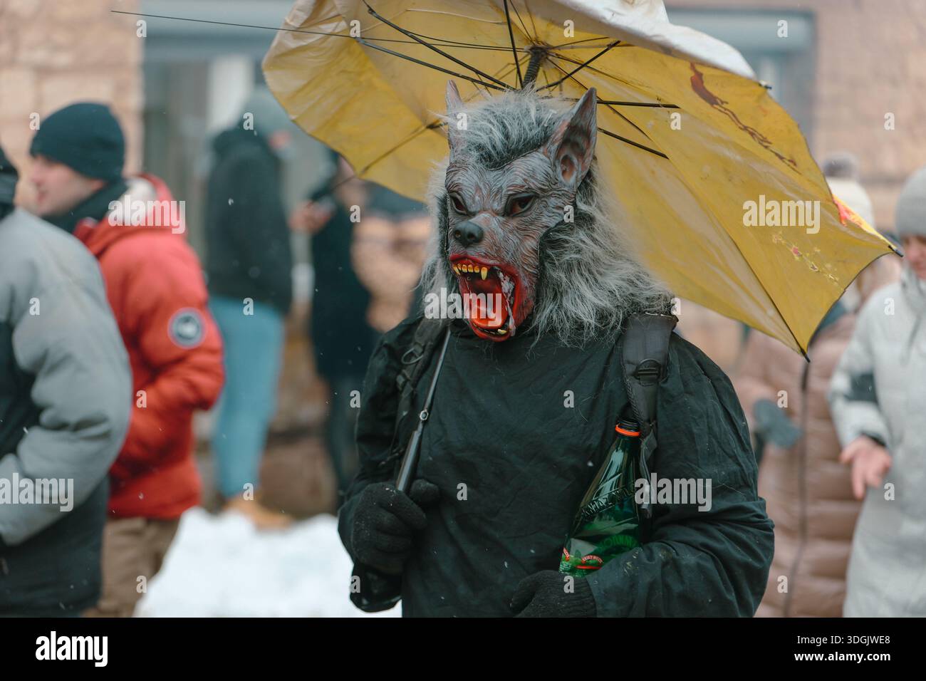 Participant masqué au carnaval portant un masque de loup et tenant un parapluie Banque D'Images