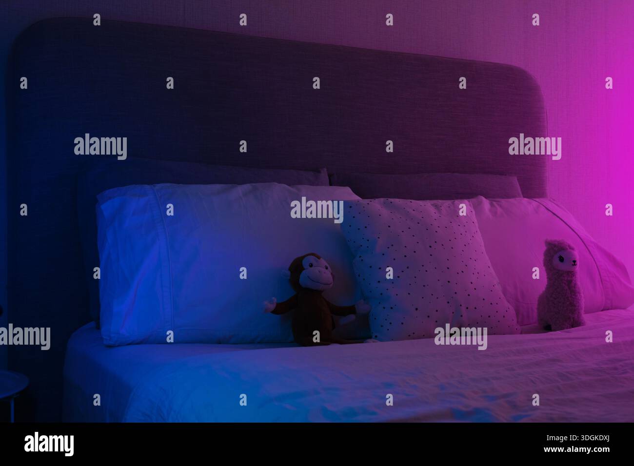 Lit avec oreillers et animaux en peluche illuminés par des néons bleus et roses Banque D'Images