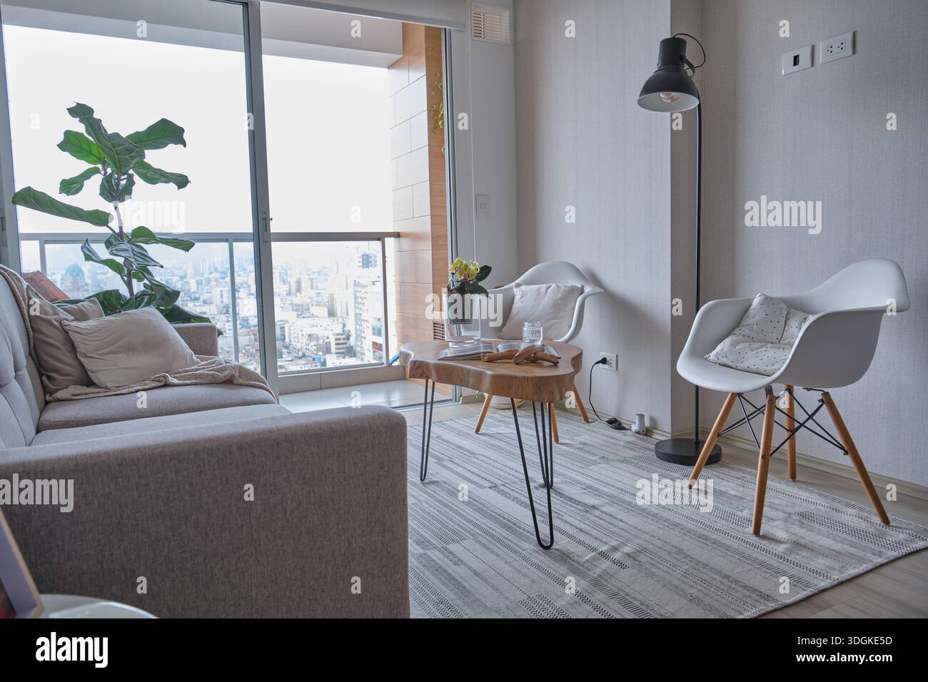 Appartement lumineux, salon, mobilier contemporain et coin salon confortable Banque D'Images