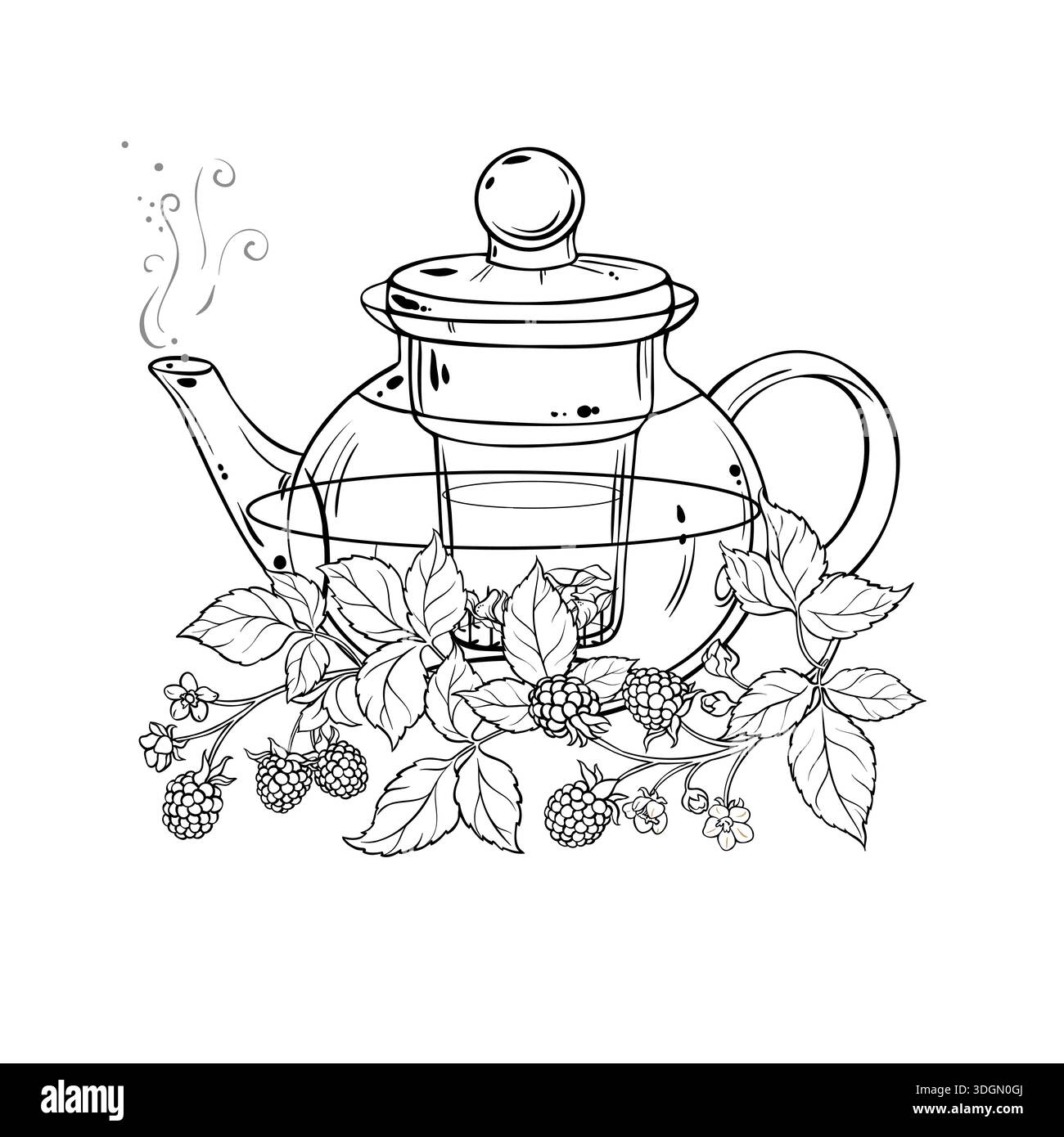 Illustration du contour du thé BlackBerry dans la théière. Illustration de Vecteur