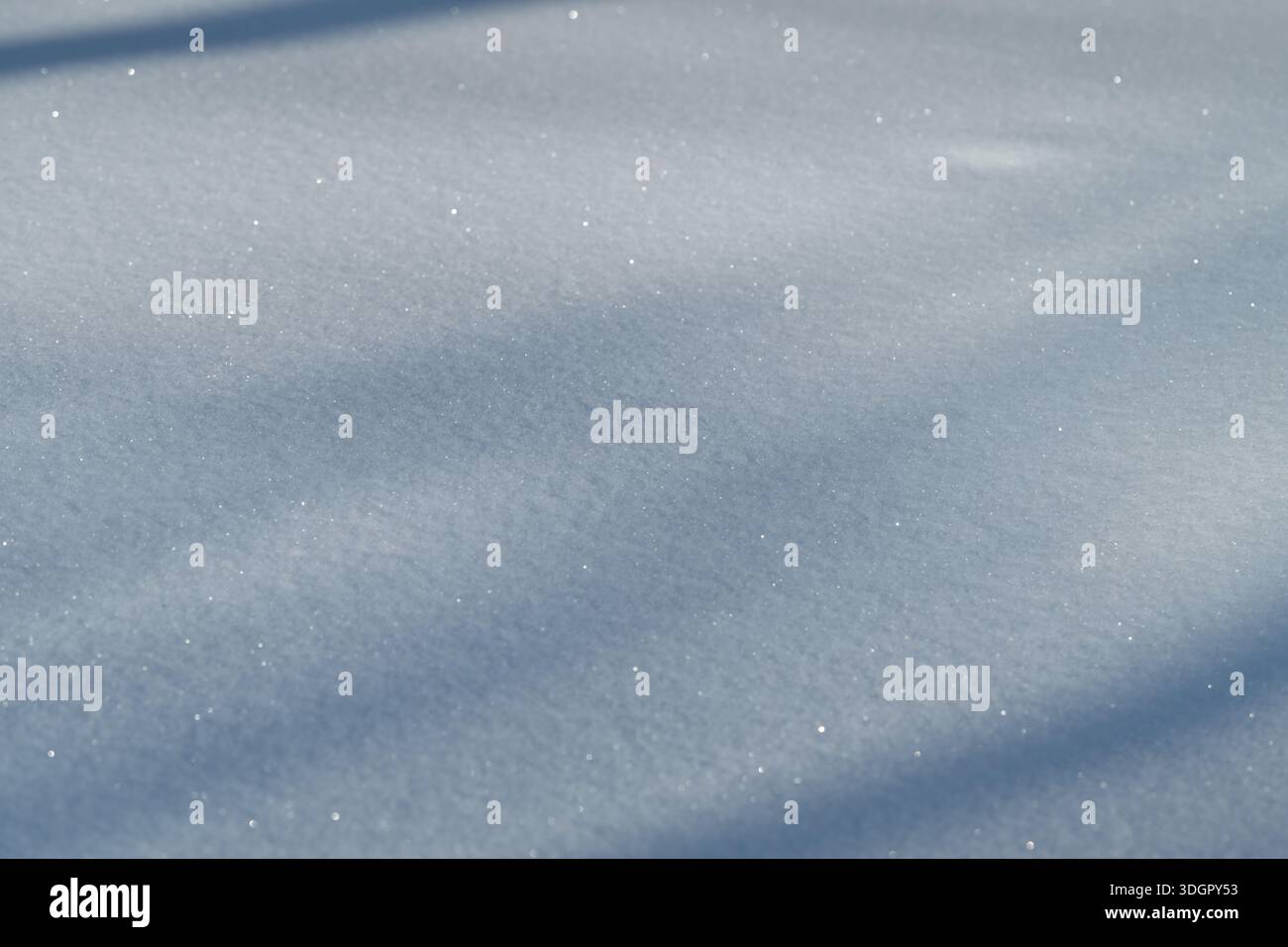 neige étincelante avec des ombres d'arbres douces, cristaux scintillants délicats sur la surface lisse de la poudre, tons bleus froids, longues ombres diagonales créant tranquilles Banque D'Images