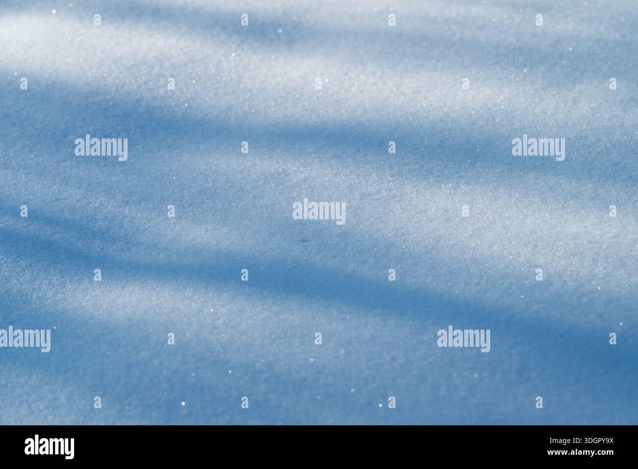 neige scintillante ensoleillée avec de longues ombres, une surface ondulée douce et des tons bleus subtils, des silhouettes d'arbres projetant une ombre allongée, une atmosphère froide croustillante, Banque D'Images