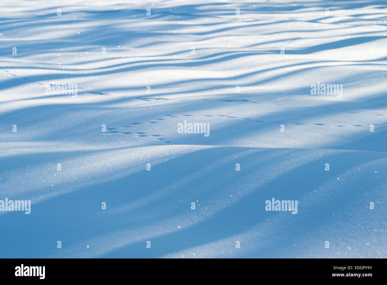 Ondulations de neige ensoleillées créant des motifs abstraits, de longues ombres diagonales, des cristaux scintillants, une composition minimaliste, une atmosphère calme tôt le matin, ver Banque D'Images