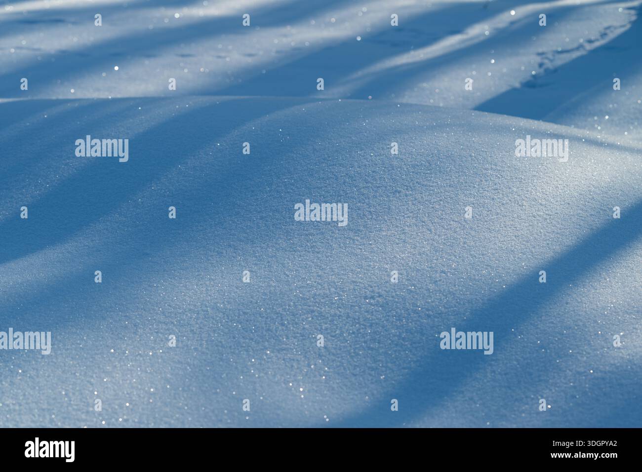 Surface de neige étincelante avec des ombres douces, texture cristalline fine, dérives douces, reflets ensoleillés, ambiance calme du parc hivernal, reflets bleus vifs, doit Banque D'Images