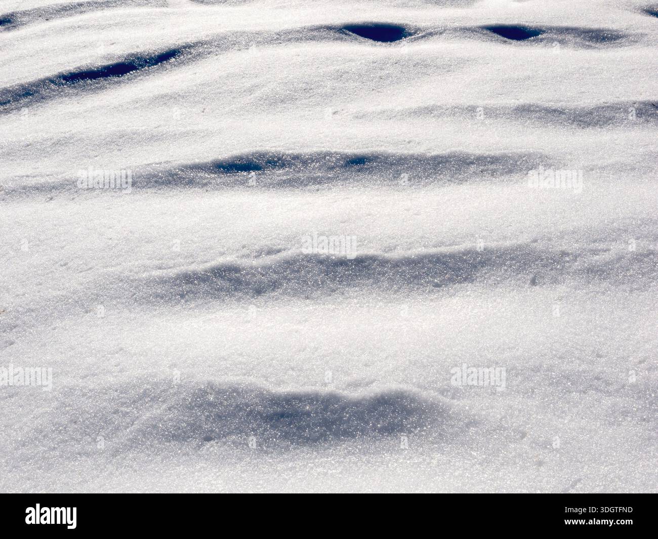 WA26973-00..... WASHINGTON - crêtes de neige causées par le vent, Tahoma State Forest. Banque D'Images