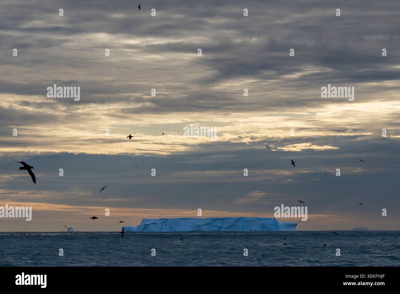 Iceberg tabulaire, Right Whale Bay, Géorgie du Sud. Banque D'Images