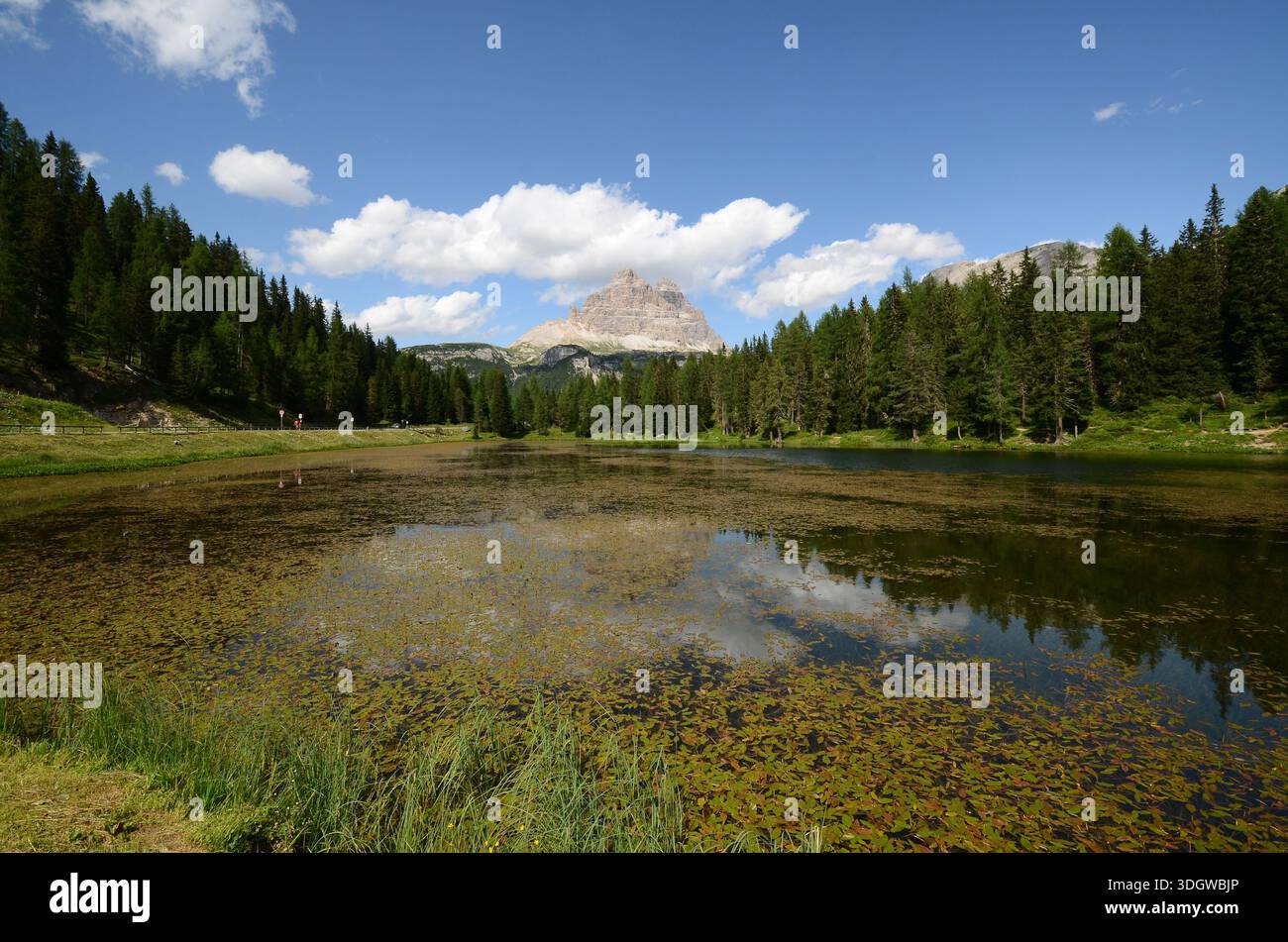 Le groupe de Dolomites Tre Cime di Lavaredo vu du lac Antorno. Vénétie, Italie. Banque D'Images