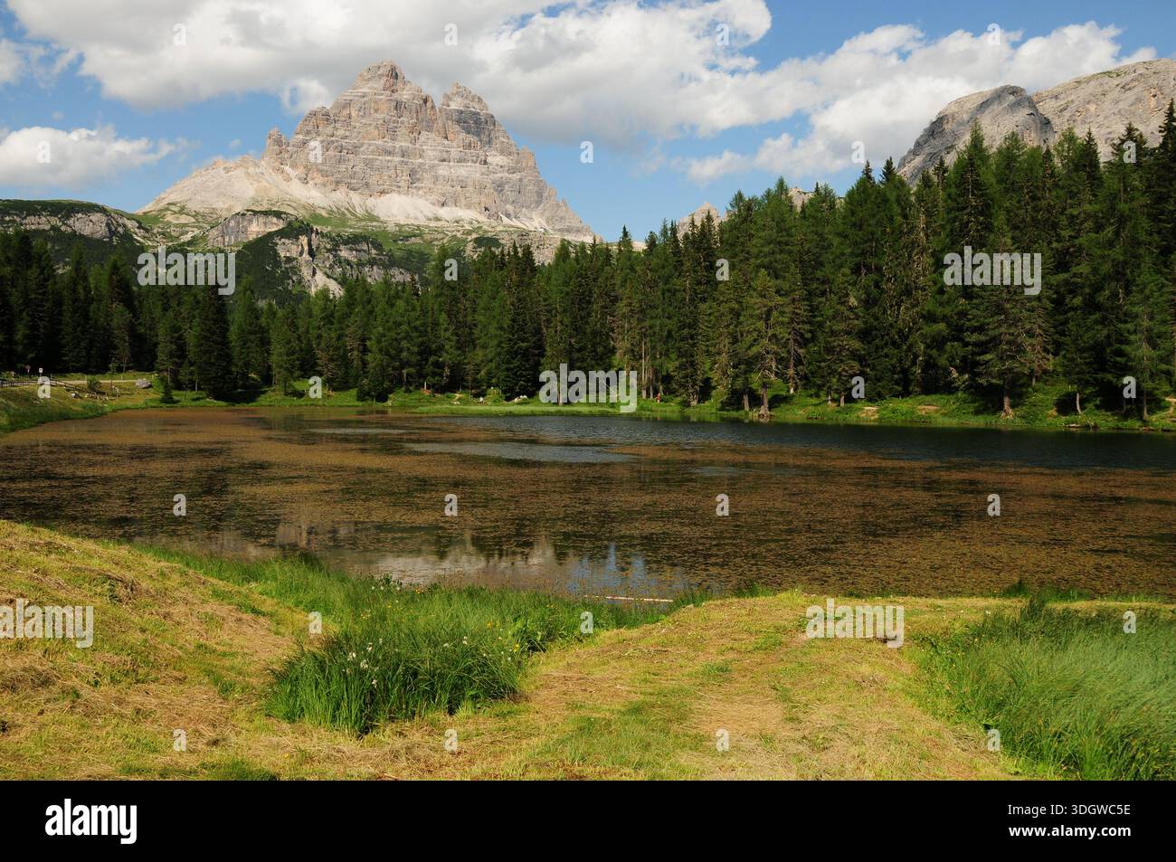 Le groupe de Dolomites Tre Cime di Lavaredo vu du lac Antorno. Vénétie, Italie. Banque D'Images