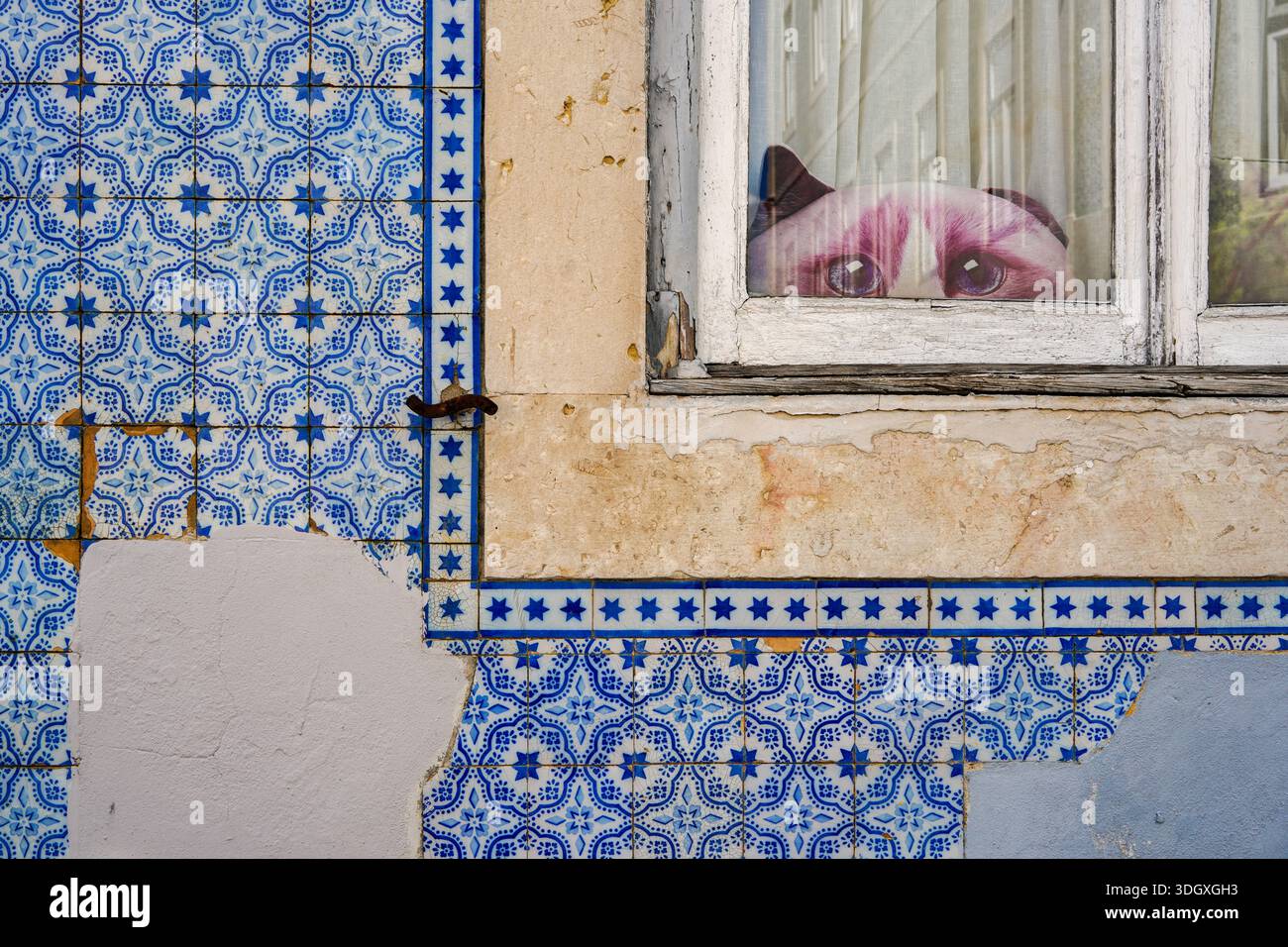 Façade en carrelage azulejo avec une fresque murale de chat regardant à travers une fenêtre érodée, Bairro Alto, Lisbonne Banque D'Images
