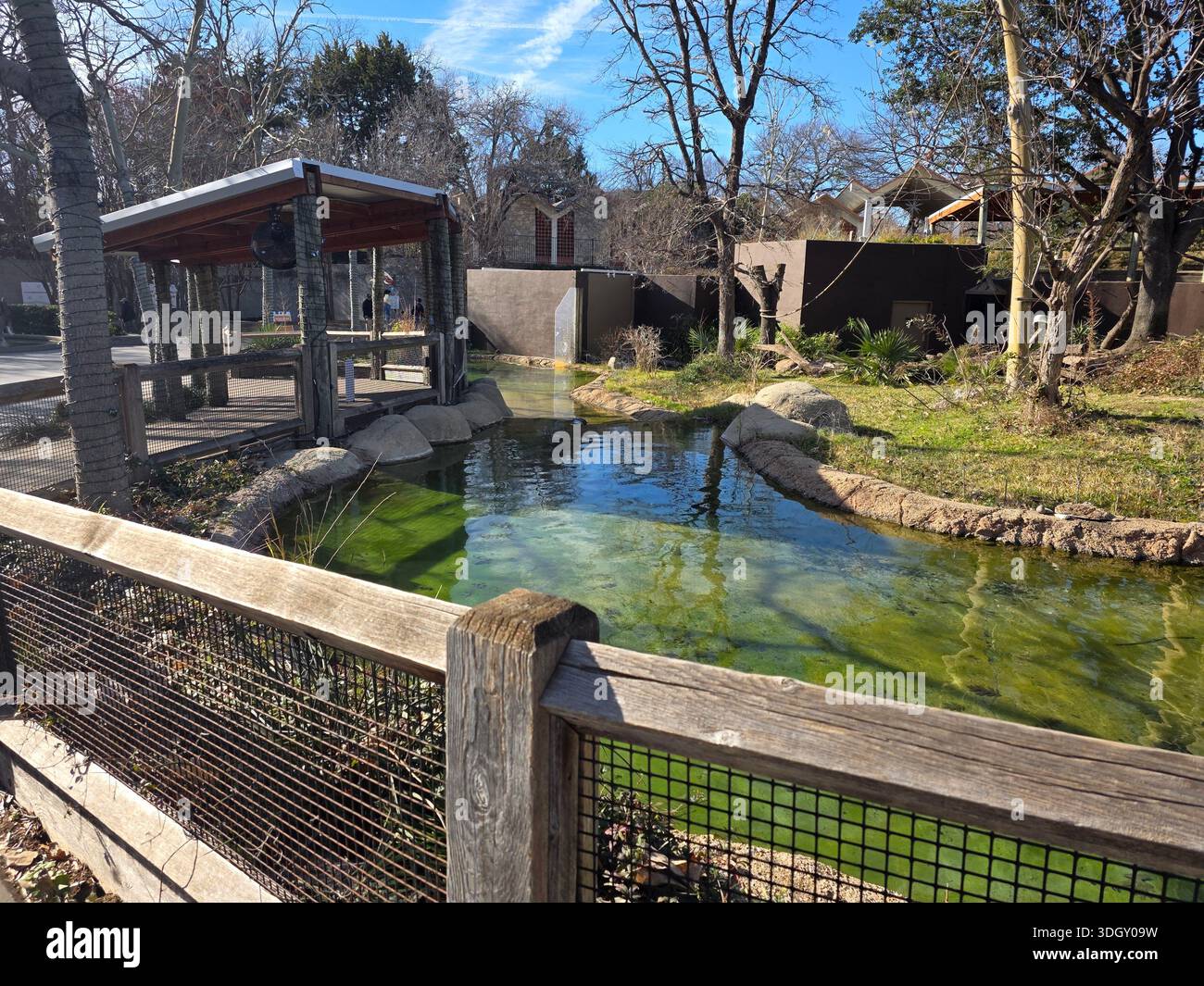 Promenade à l'intérieur de Dallas, Texas Zoo Banque D'Images