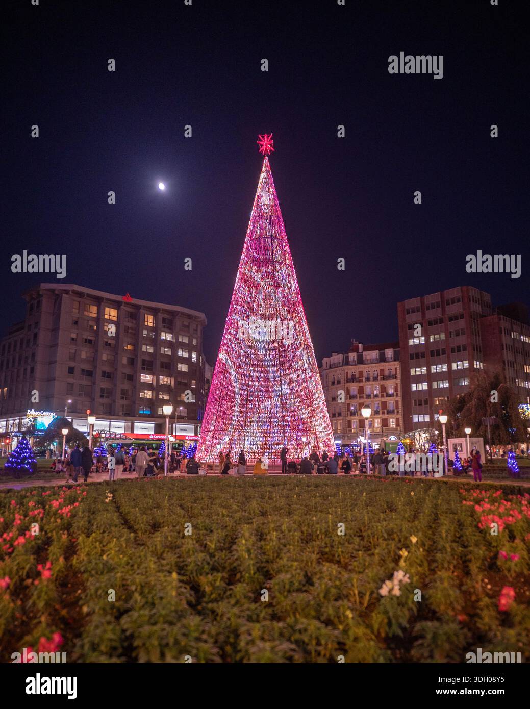 Arbre de Noël illuminé géant dans une place de la ville la nuit. Banque D'Images