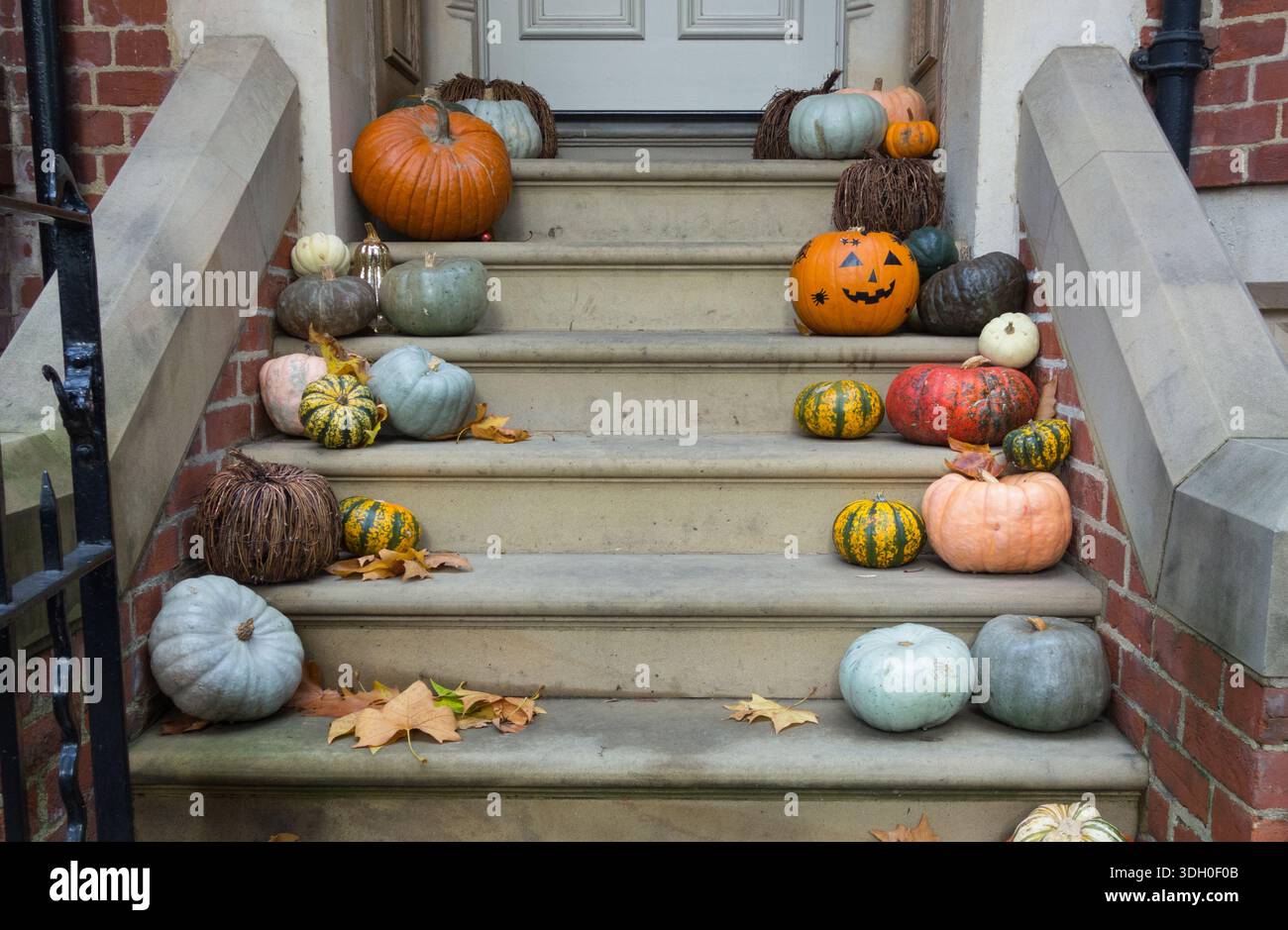 Citrouilles et gourdes colorées d'Halloween devant une maison à Londres, Angleterre, Royaume-Uni Banque D'Images