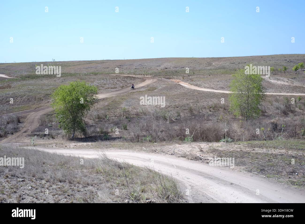 Un chemin de terre poussiéreux qui traverse des terres sèches dans le sud-ouest de Sumba, est de Nusa Tenggara Banque D'Images