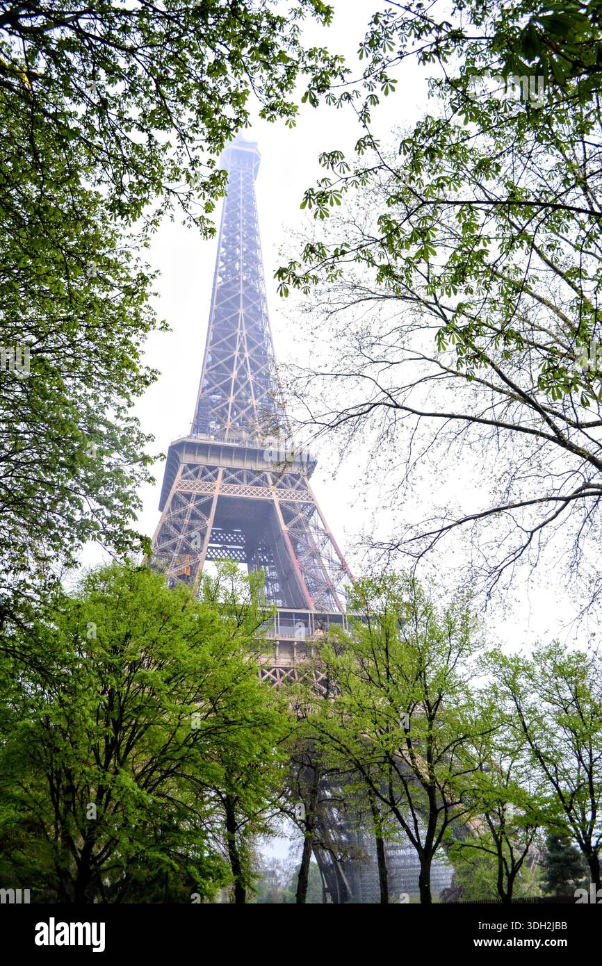 Vue sur la Tour Eiffel encadrée par des arbres à Paris Banque D'Images