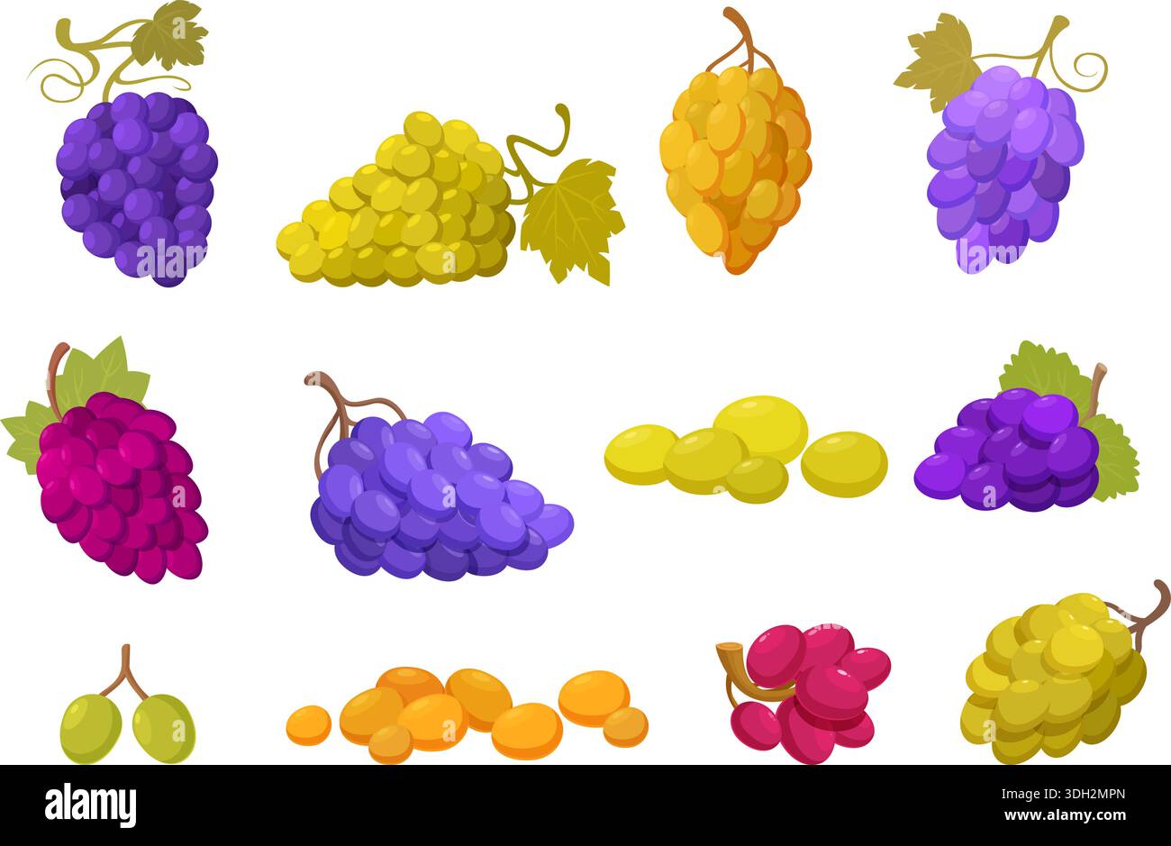 Grappes de raisin de dessin animé. Raisins avec des feuilles, baies mûres de vignoble rouge violet vert. Fruits frais sucrés naturels, dessert et production de vin, sapid Illustration de Vecteur