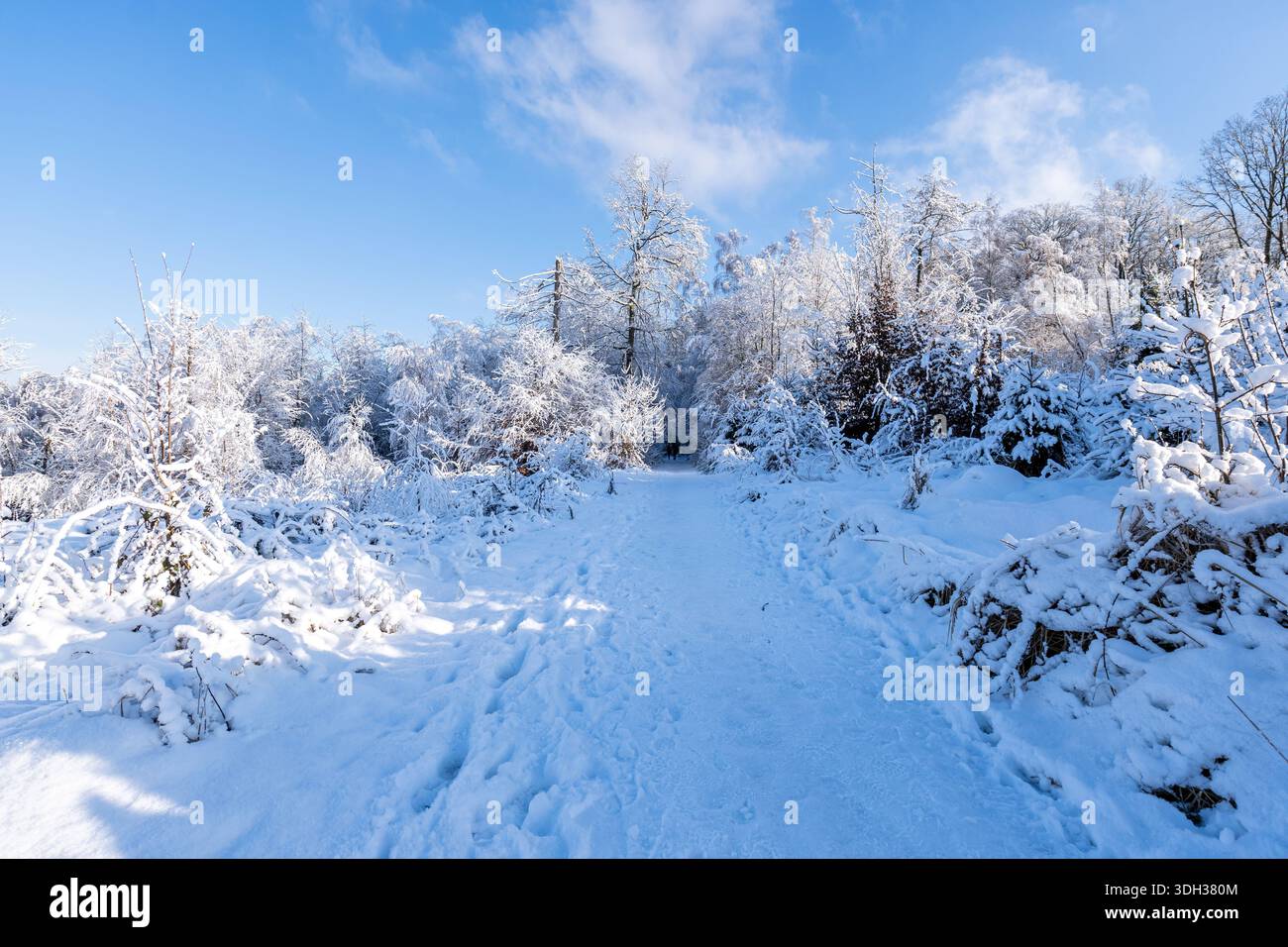 Sentier de randonnée dans un paysage enneigé dans le quartier allemand Oberberg Banque D'Images