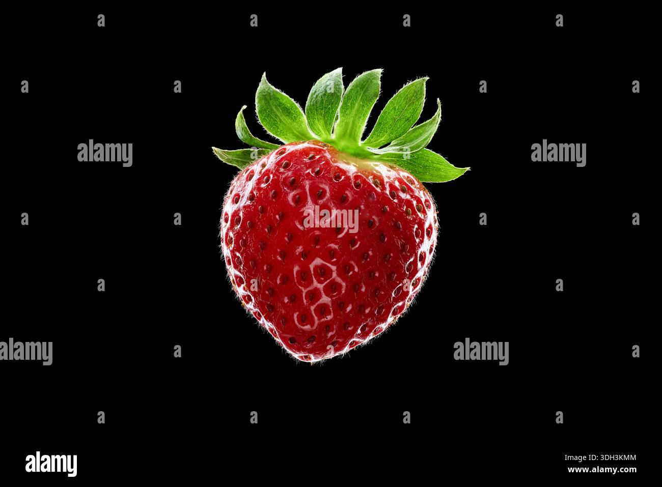 Fraise mûre juteuse fraîche isolée sur fond transparent noir Banque D'Images