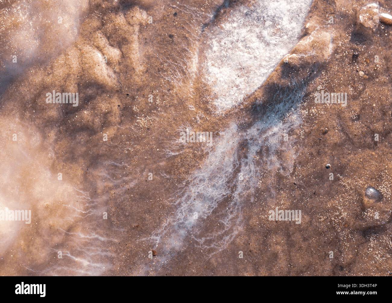 Glace gelée et texture de sable sur la côte hivernale Banque D'Images