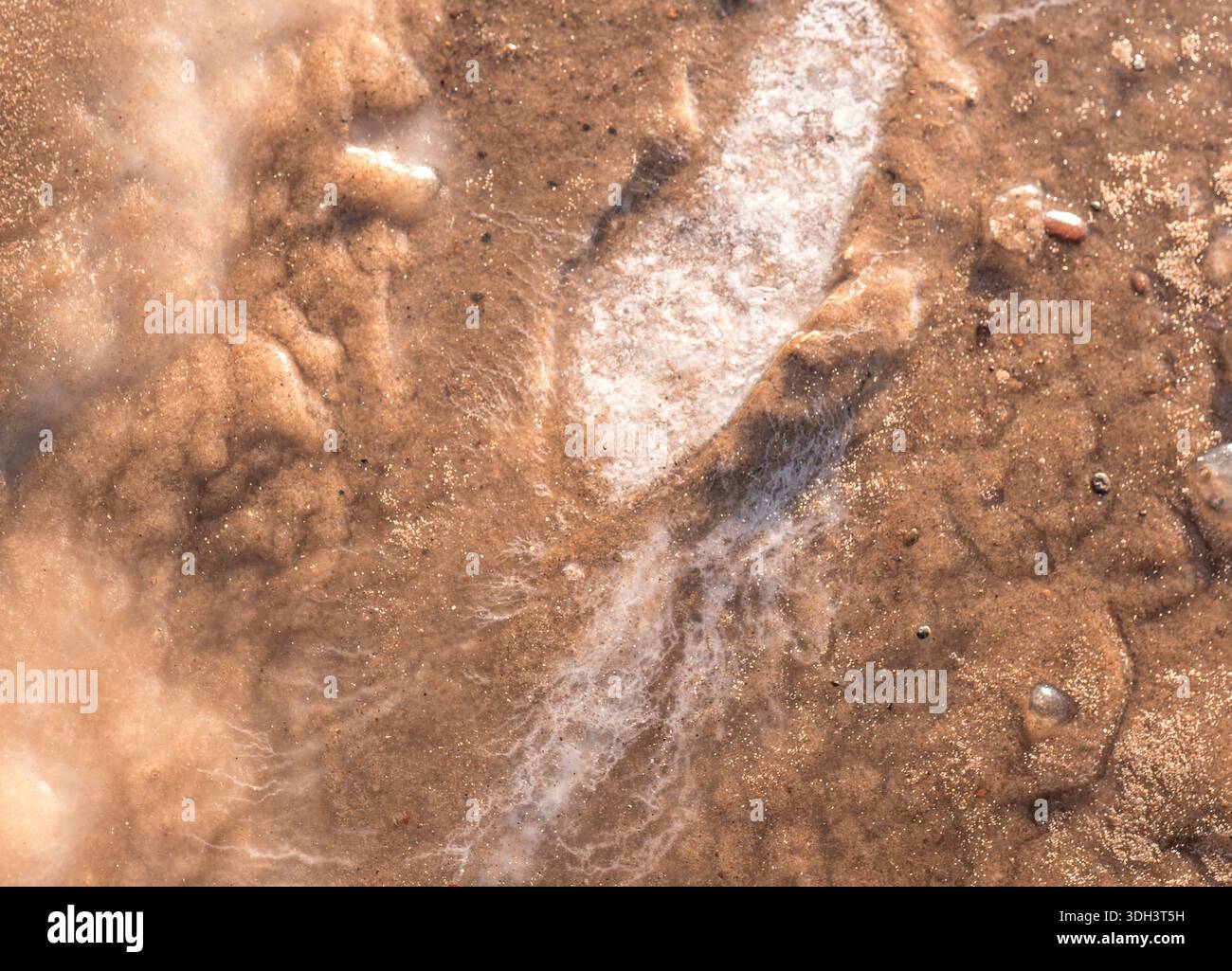 Glace gelée et texture de sable sur la côte hivernale Banque D'Images