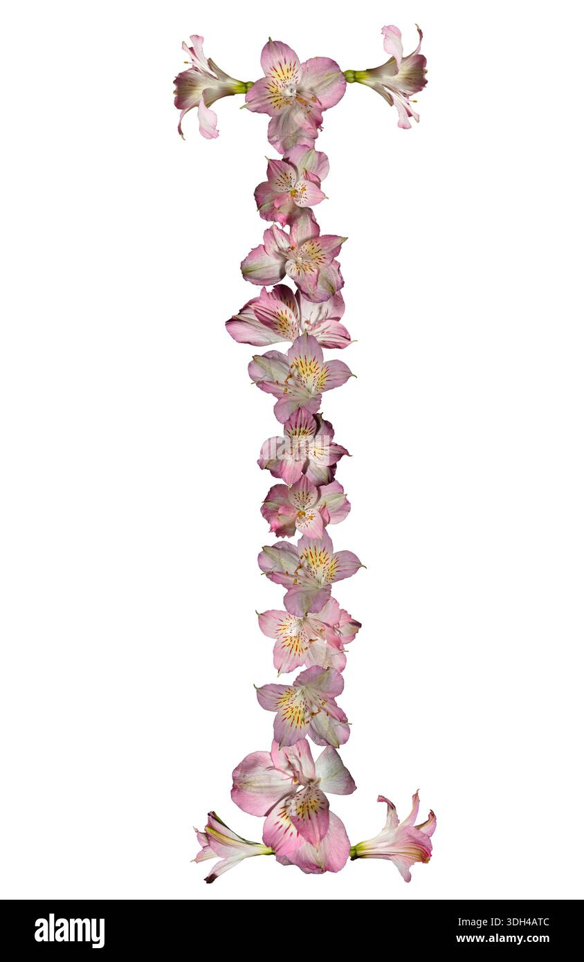 Lettre vibrante I alstroemeria fleur fleurs pétales pop avec des jaunes riches, blues, rose, lettre amusante et excitante, photo esthétiquement modifiée de style. Banque D'Images