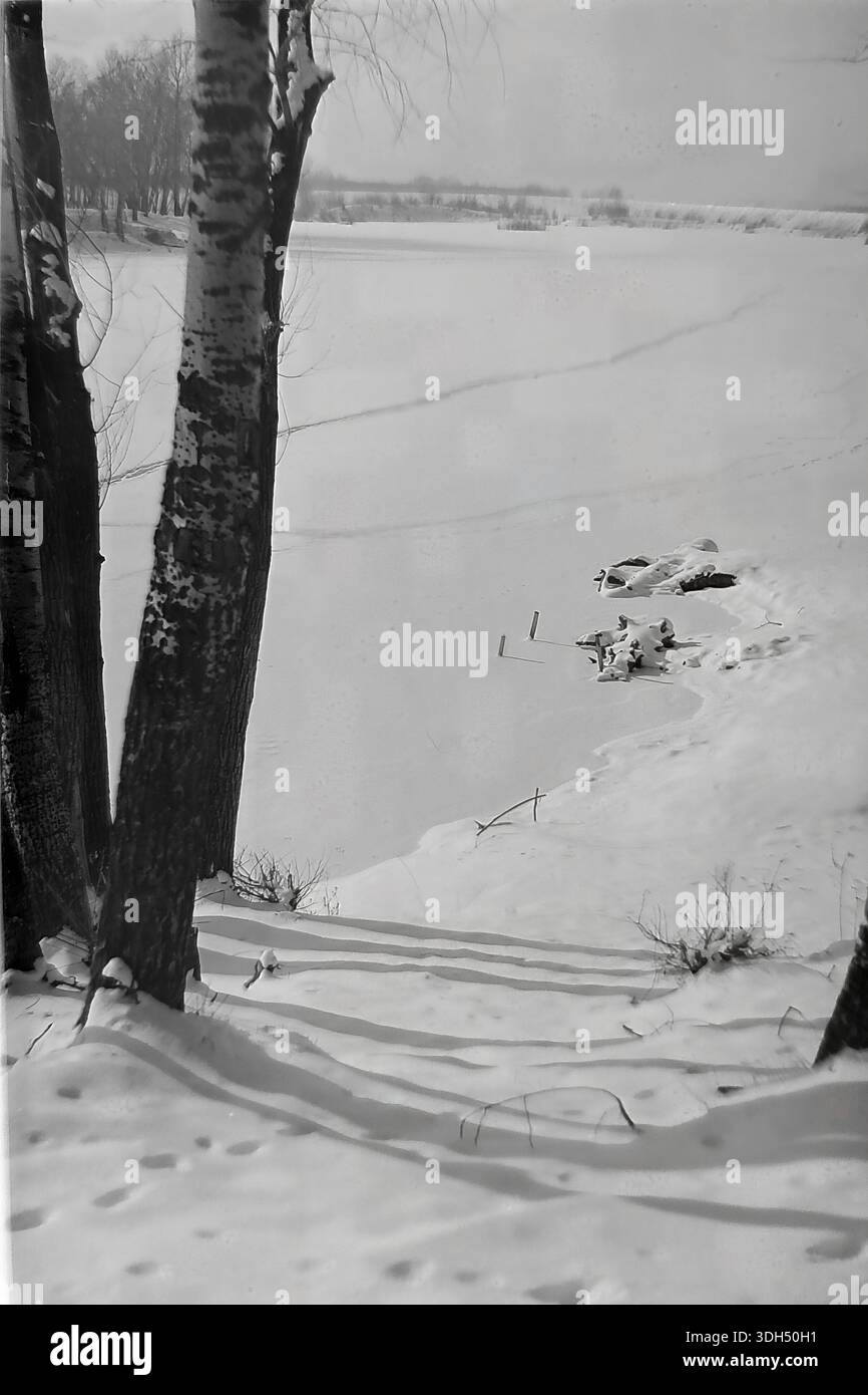 Authentique photographie d'archives des années 1960 capturant un paysage hivernal à Raigorodok, région de Donetsk. Deux grands troncs d'arbre, dont un bouleau texturé, encadrent le côté gauche de la composition verticale. Ils surplombent une vaste surface de rivière gelée recouverte de neige. Au milieu du sol, des branches d'accroche dépassent de la glace, ajoutant des détails à l'étendue blanche. Le rivage lointain est bordé d'arbres sous un ciel brumeux. Cette image d'ambiance en noir et blanc documente la beauté silencieuse et gelée de la paisible région du Donbass avant la guerre. Banque D'Images
