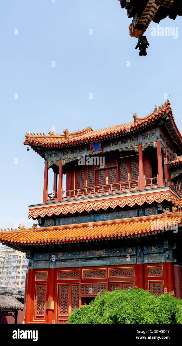 L'architecture traditionnelle complexe du temple Yonghegong Lama à Pékin, en Chine, affiche des détails exquis et des couleurs vibrantes contre un clair Banque D'Images