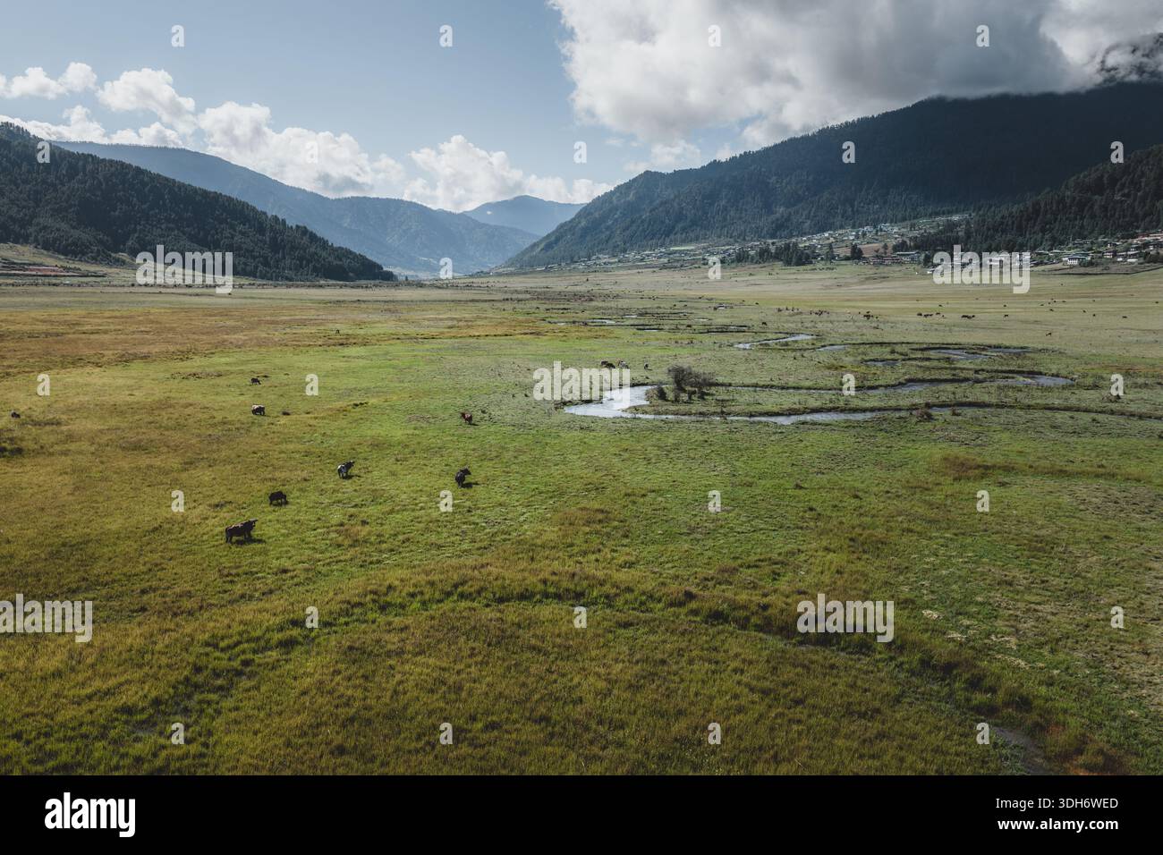 Vue aérienne de la vaste vallée verdoyante rencontrant les contreforts des montagnes sous un ciel nuageux, vallée de Phobjikha, Wangdue Phodrang, Bhoutan. Banque D'Images