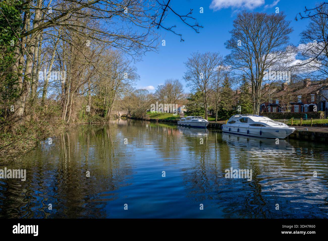 Croiseur typique de location de vacances amarré sur les rives bordées d'arbres de la rivière wensum dans la ville de norwich, norfolk s'élargit avec l'évêque historique bridg Banque D'Images