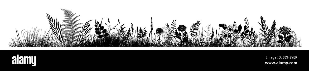 Silhouette de l'horizon de l'herbe. Bordure, printemps de prairie, dessiné à la main. Pas ai, illustration vectorielle Illustration de Vecteur