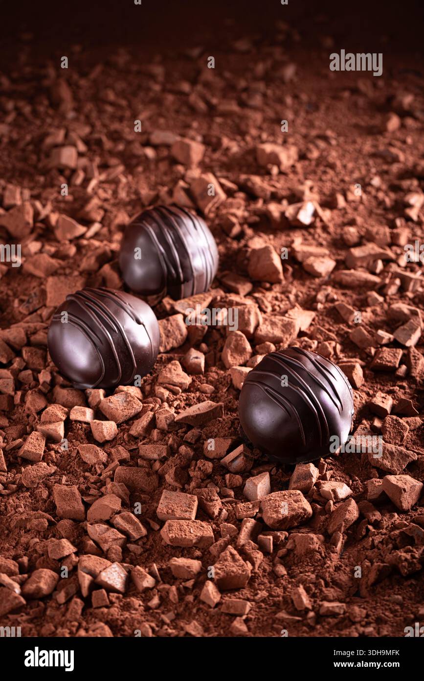 Praliné au chocolat noir à base de chocolat et de springles. Praliné sur fond chocolat et cacao. Banque D'Images