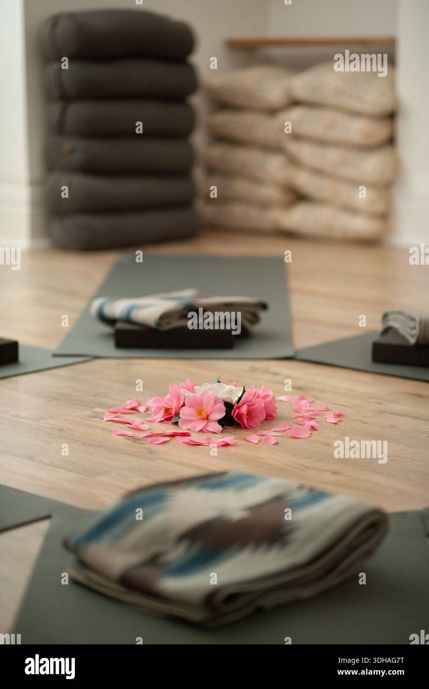 Gros plan d'une pièce maîtresse de mandala de pétales de fleurs roses sur un plancher en bois, entourée de tapis de yoga et de couvertures de méditation. Banque D'Images