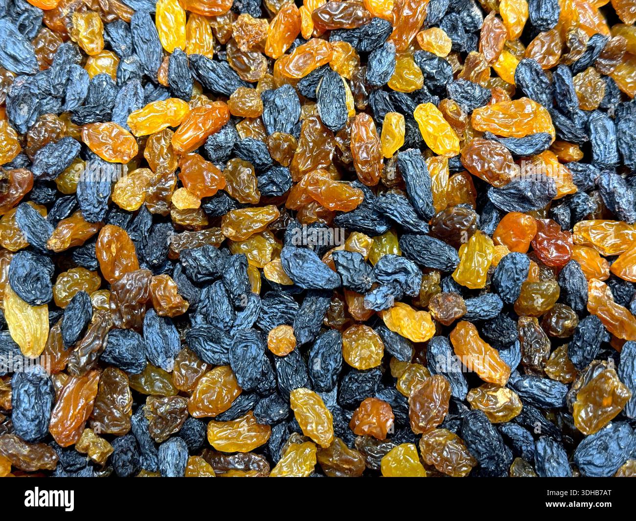 Raisins secs variation fond de raisin séché Banque D'Images