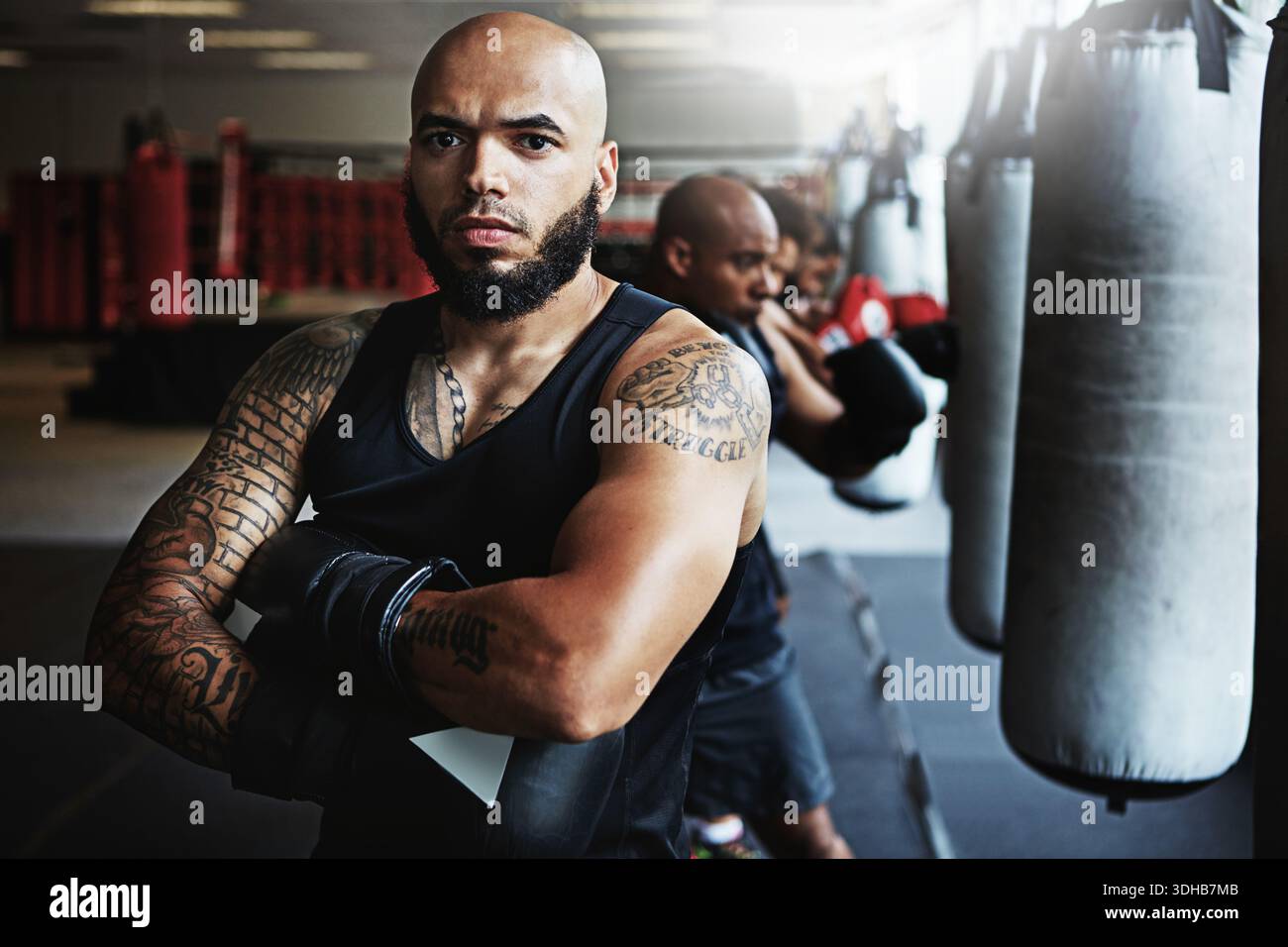 Portrait, boxeur et homme avec confiance pour le sport, fitness ou entraîneur déterminé dans le gymnase pour le combat. Entraîneur de boxe, athlète et personne sérieuse avec Banque D'Images