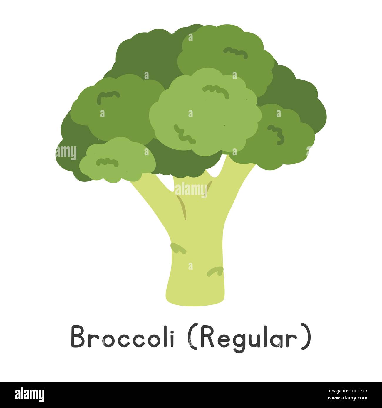 Brocoli Flat Cartoon Vector illustration isolé sur fond blanc. Clipart de brocoli Illustration de Vecteur