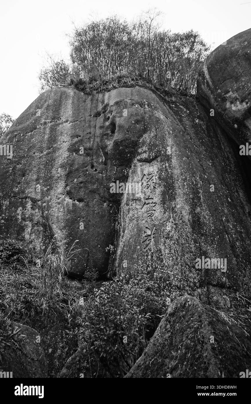 Taimushan Town, Fuding, Ningde (Fujian), Chine : 'Lvxueya Tea' in Taimu Mountain Scenic Spot Banque D'Images