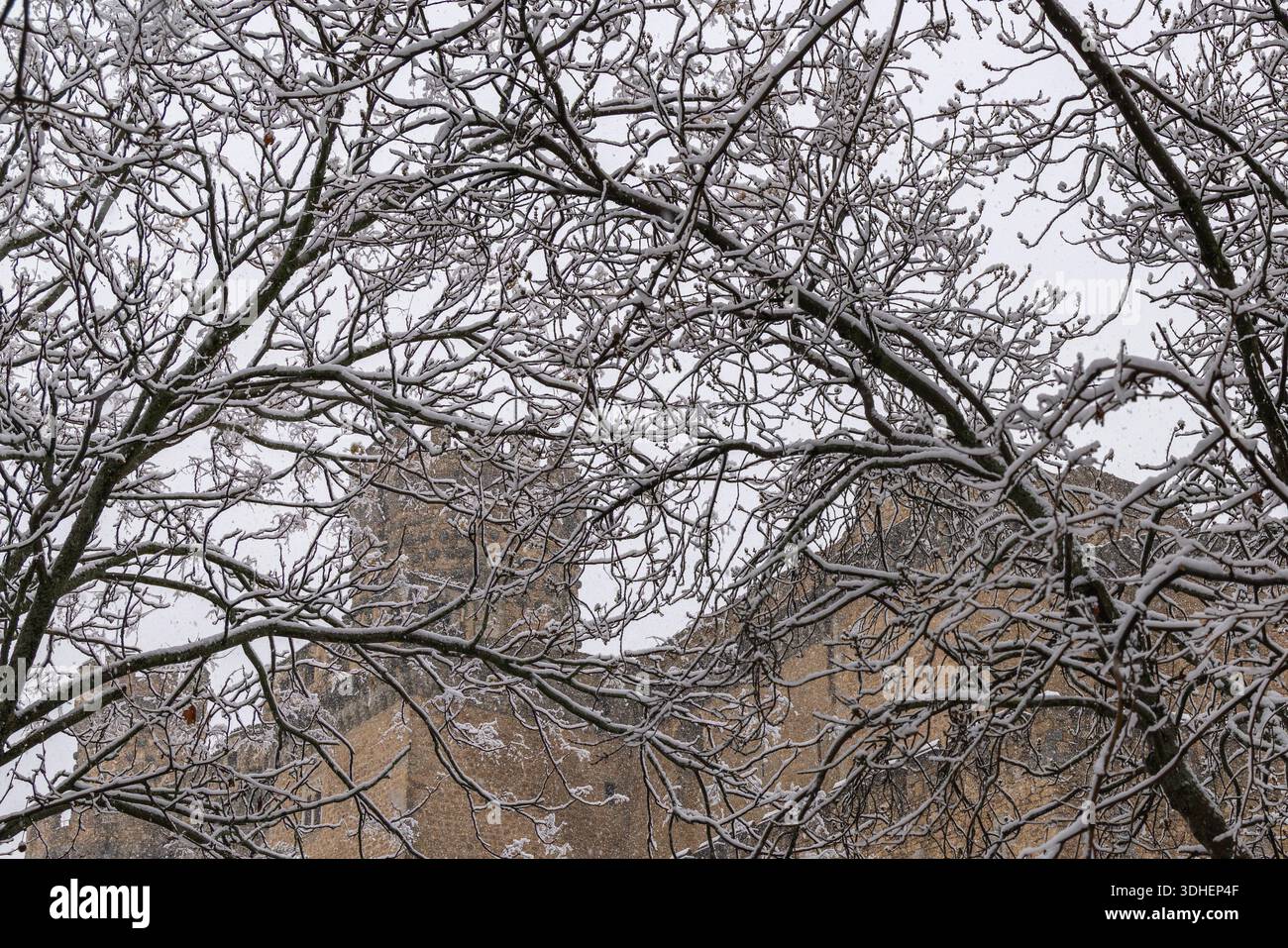 Atmosphère hivernale entourant le château de Manzanares el Real, un palais historique forteresse construit sur une ancienne église au XVe siècle. Banque D'Images