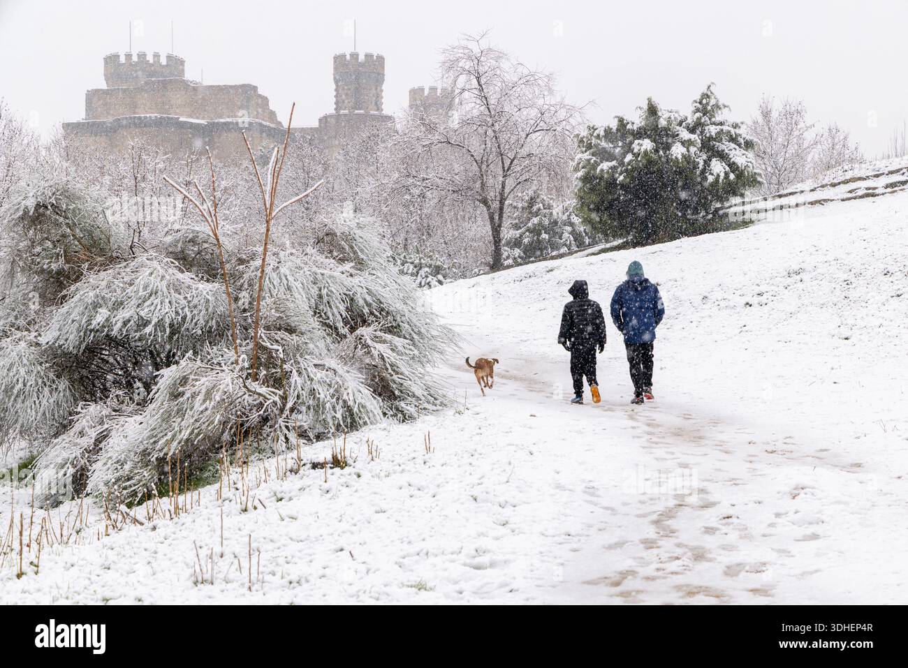 Vue hivernale sur le château de Manzanares el Real, une forteresse médiévale tardive construite au XVe siècle à côté de la rivière Manzanares. Banque D'Images