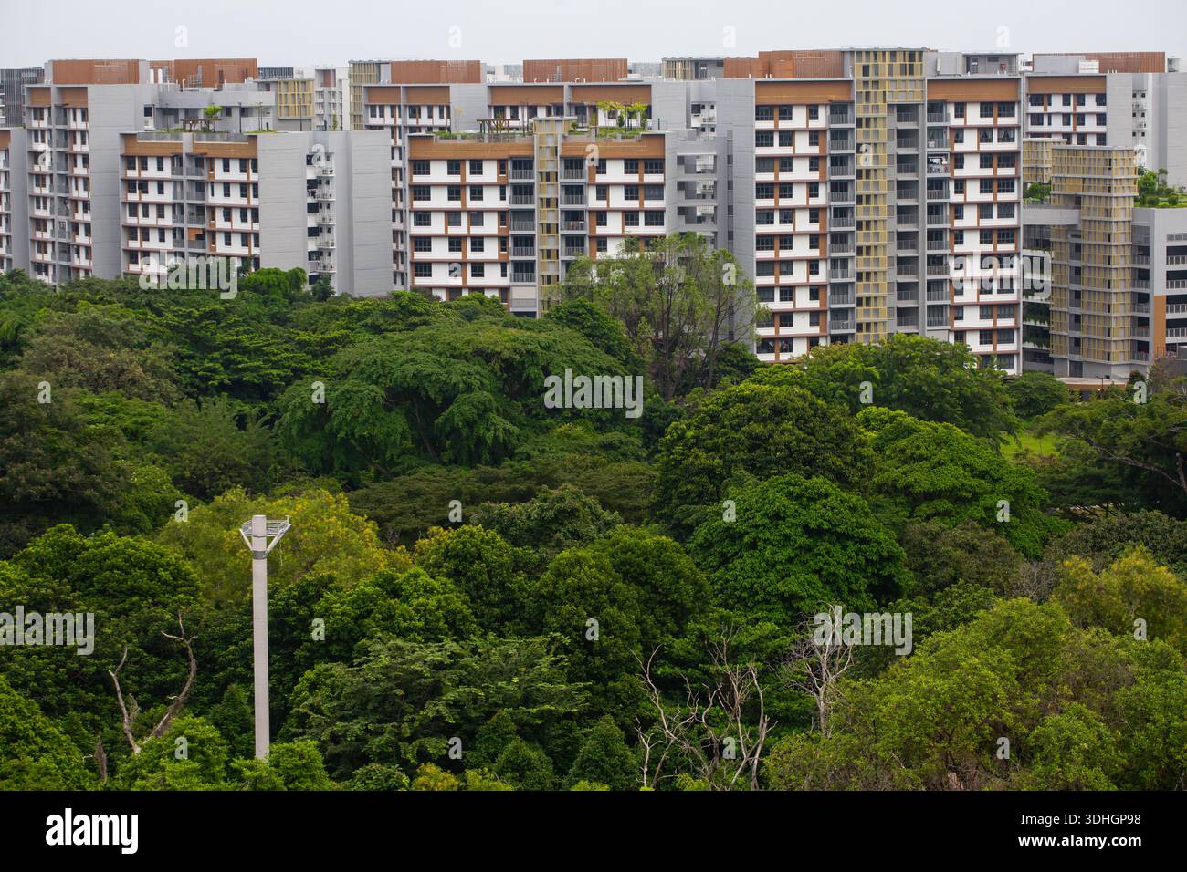 Nature urbaine, présence et vitalité du monde naturel dans les milieux urbains. Singapour. Banque D'Images