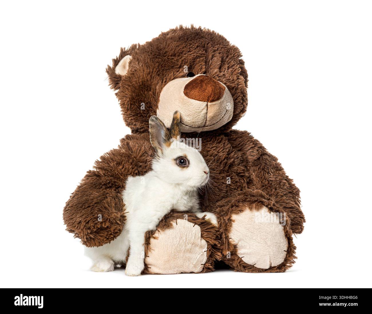 Petit lapin reposant dans les bras d'un ours en peluche en peluche Banque D'Images