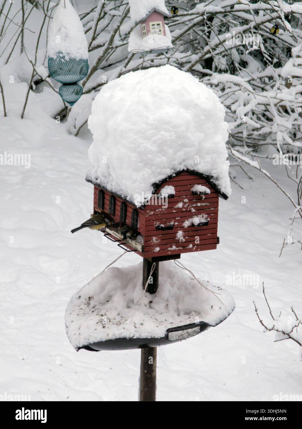 Neige abondante sur les mangeoires à oiseaux. Google Pixel 9 PRO XL - Image de stock capturée avec un smartphone